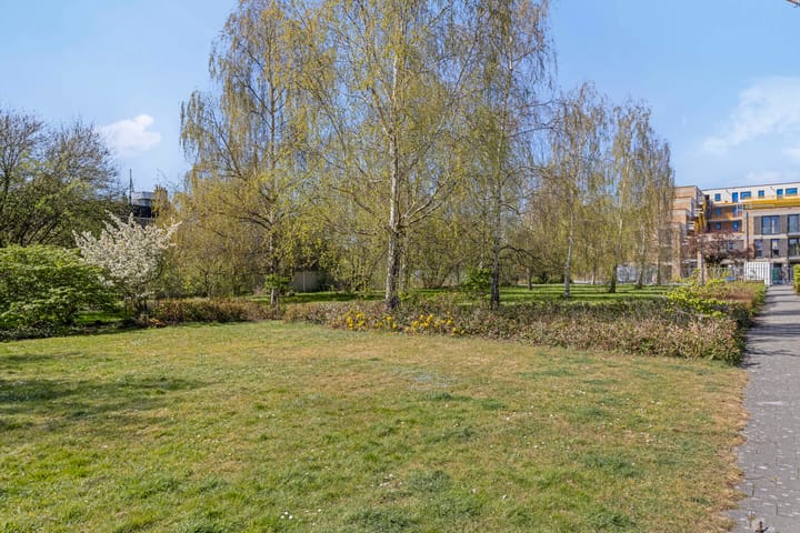 Foto 37 van Tijgeroogstraat 9