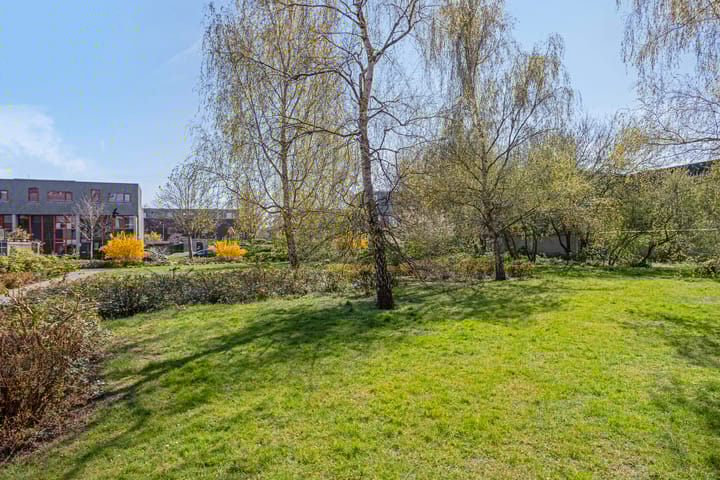 Foto 38 van Tijgeroogstraat 9