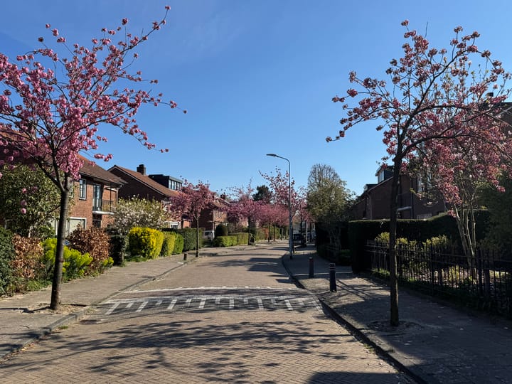 Foto 2 van Gaaistraat 5