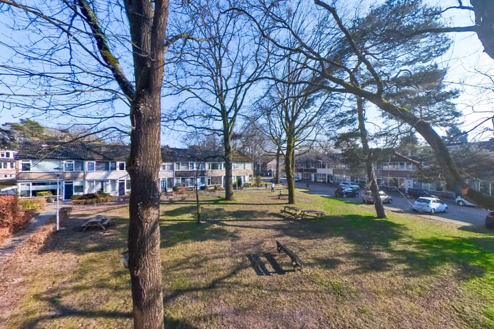 Foto 32 van Roland Holsthof 16