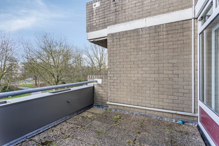 Foto 8 van Rottumerplaat 24