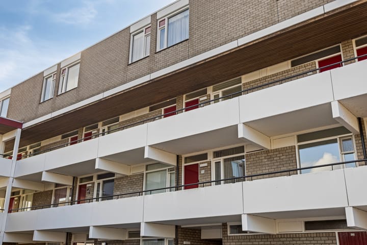 Foto 20 van Rottumerplaat 24