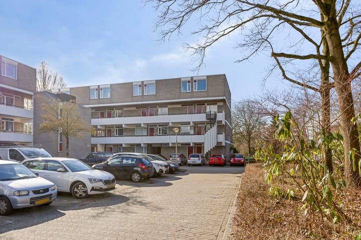 Foto 21 van Rottumerplaat 24