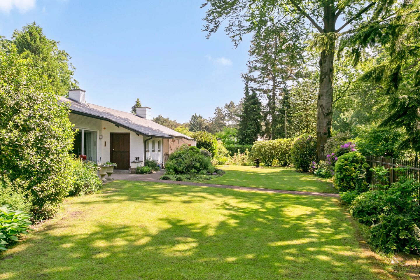 Foto 40 van Westervelden 3