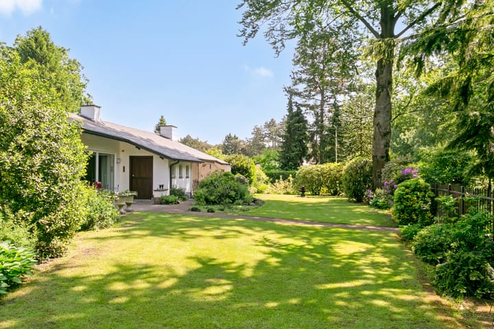 Foto 40 van Westervelden 3