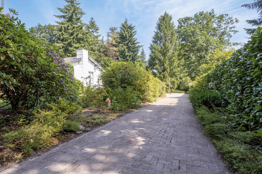 Foto 43 van Westervelden 3