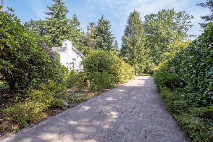 Foto 43 van Westervelden 3