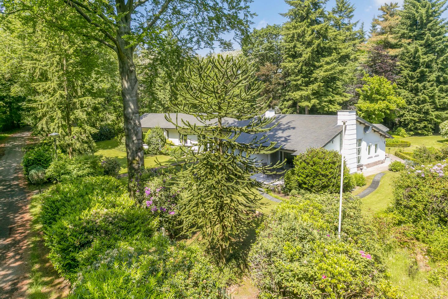 Foto 44 van Westervelden 3