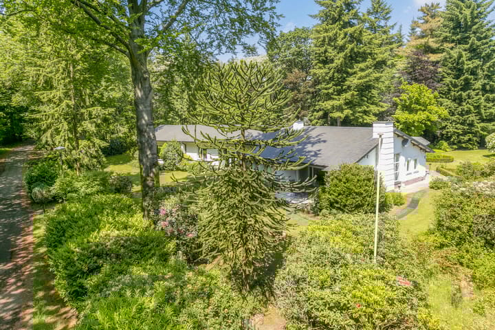 Foto 44 van Westervelden 3