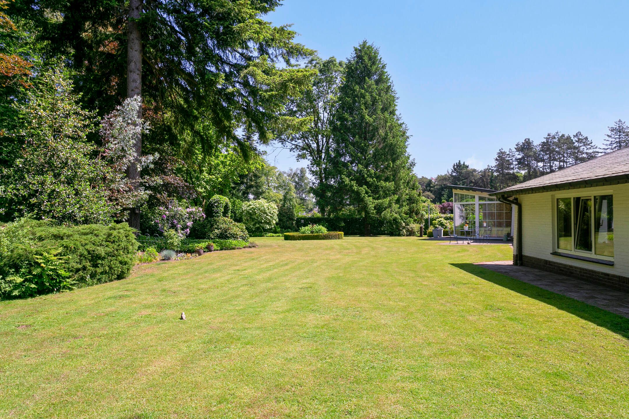 Foto 48 van Westervelden 3