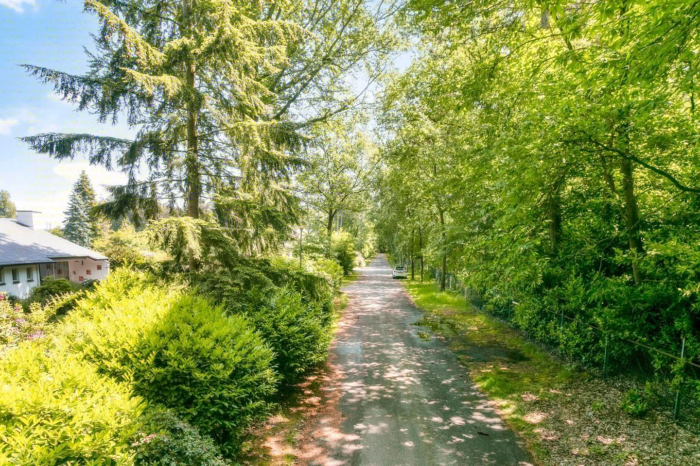 Foto 50 van Westervelden 3