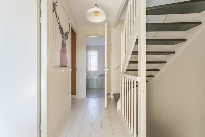 Foto 43 van Vliegend Hert 30