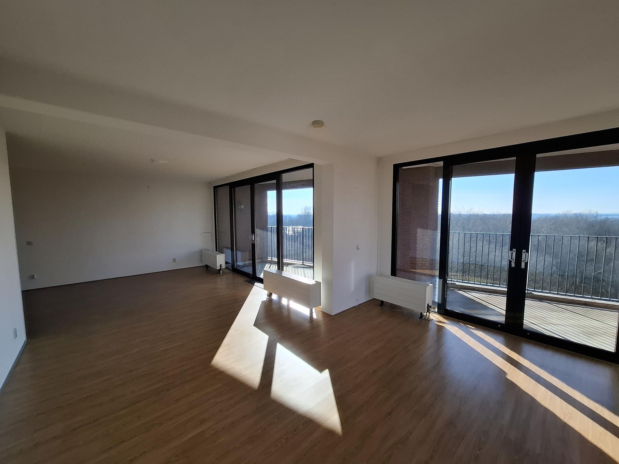 Photo 3 of Wijnruitstraat 277