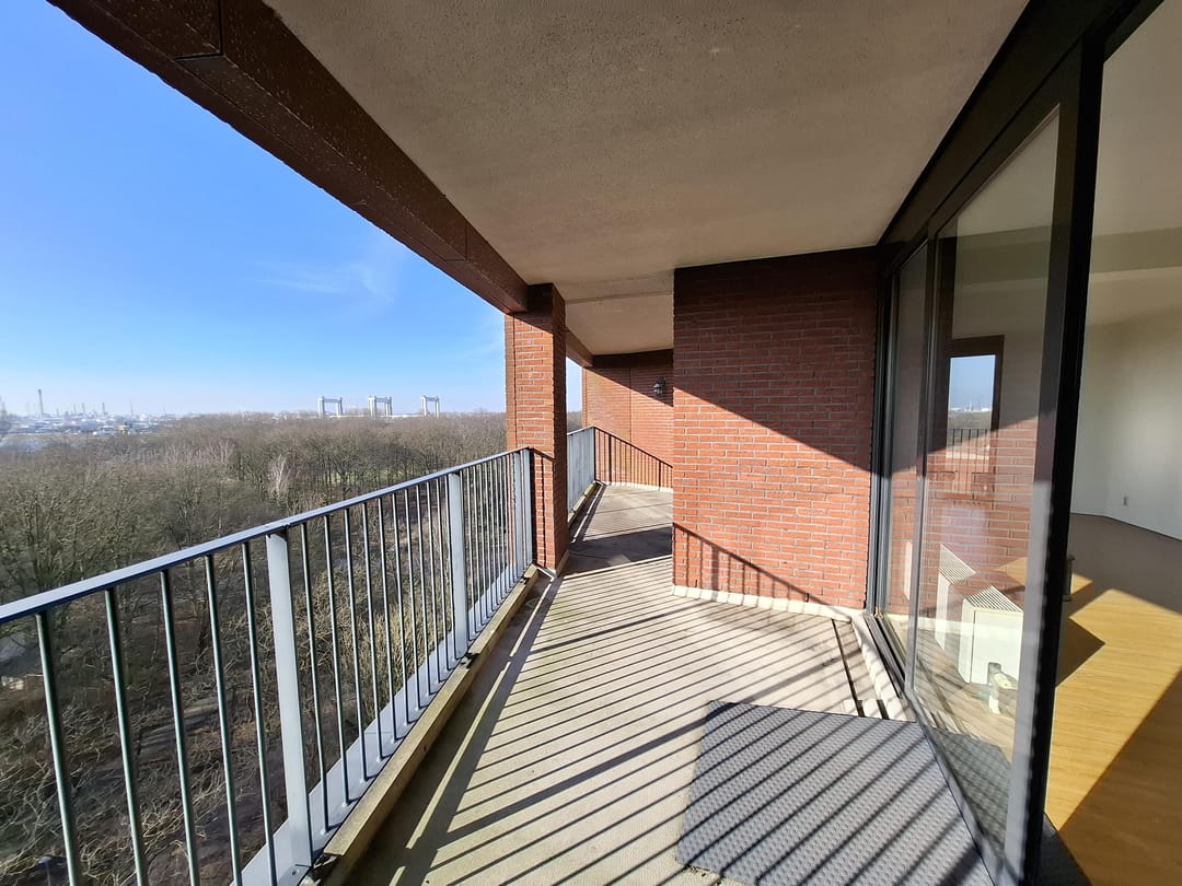 Photo 11 of Wijnruitstraat 277