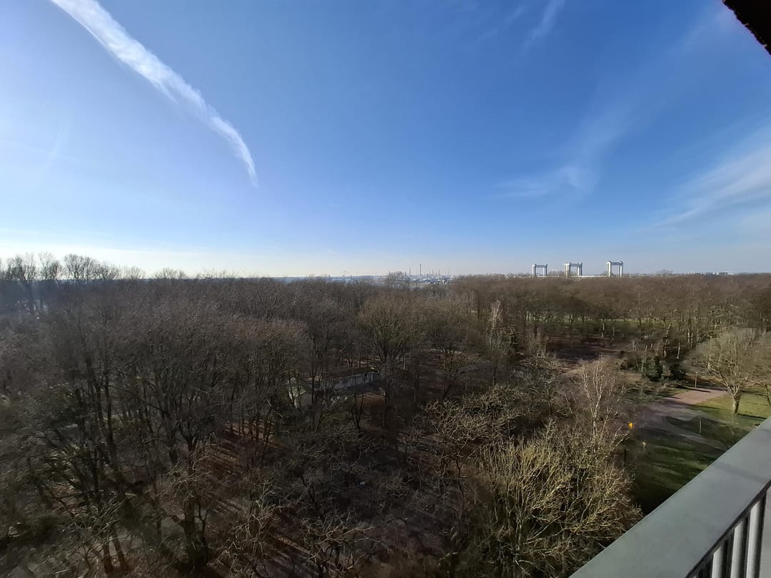 Photo 13 of Wijnruitstraat 277