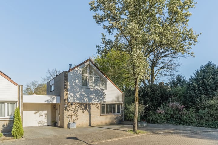 Foto 42 van Generaal Chassélaan 19