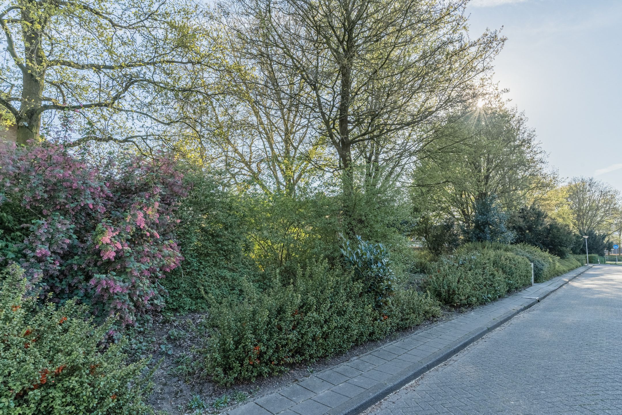 Foto 48 van Generaal Chassélaan 19