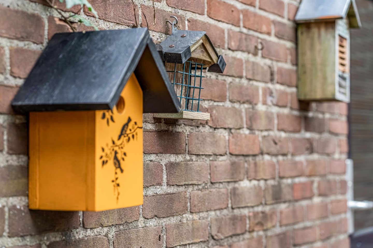 Foto 34 van Jagerskamp 99