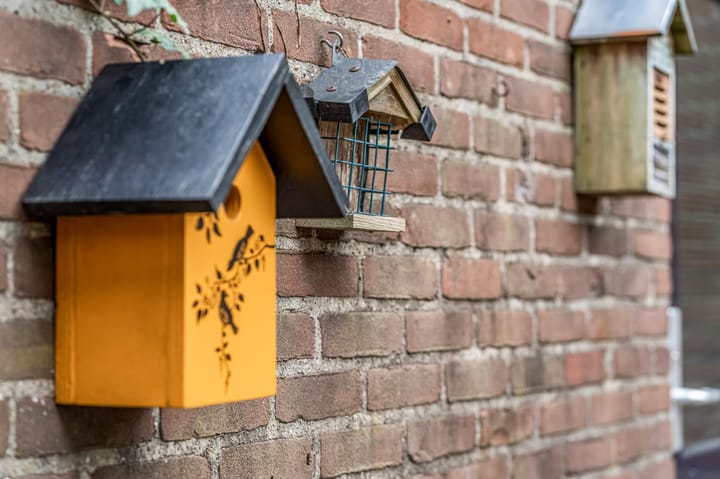 Foto 34 van Jagerskamp 99