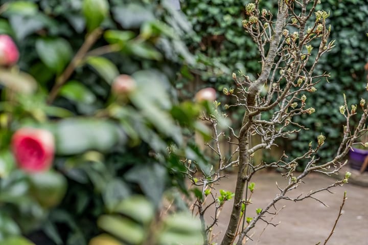 Foto 36 van Jagerskamp 99