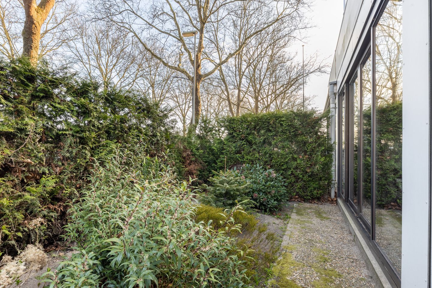 Foto 25 van Zwijnsbergenstraat 173