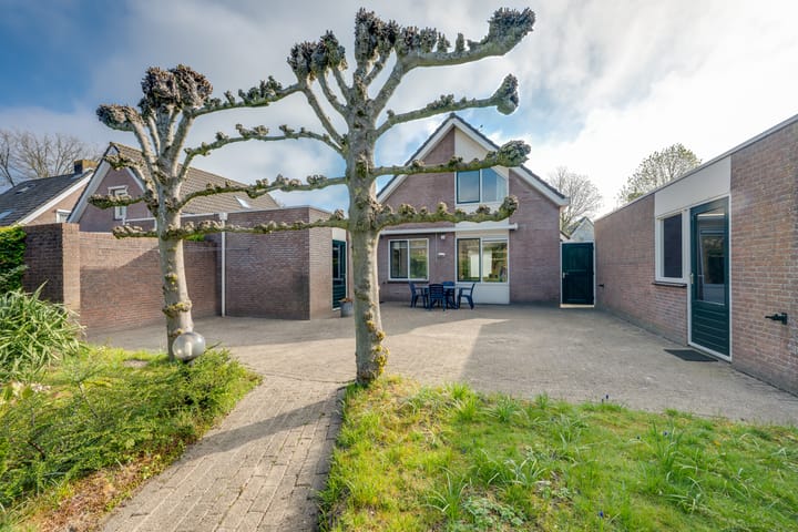 Foto 43 van Korenbloem 13