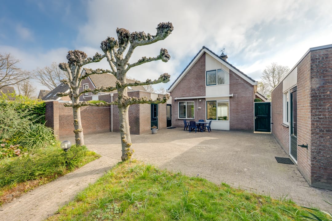 Foto 46 van Korenbloem 13