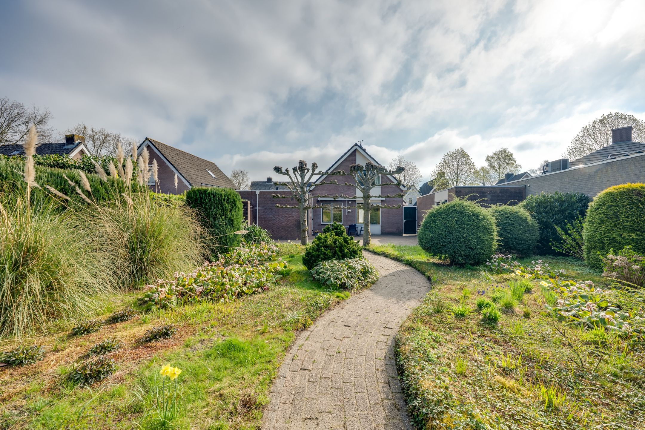 Foto 42 van Korenbloem 13