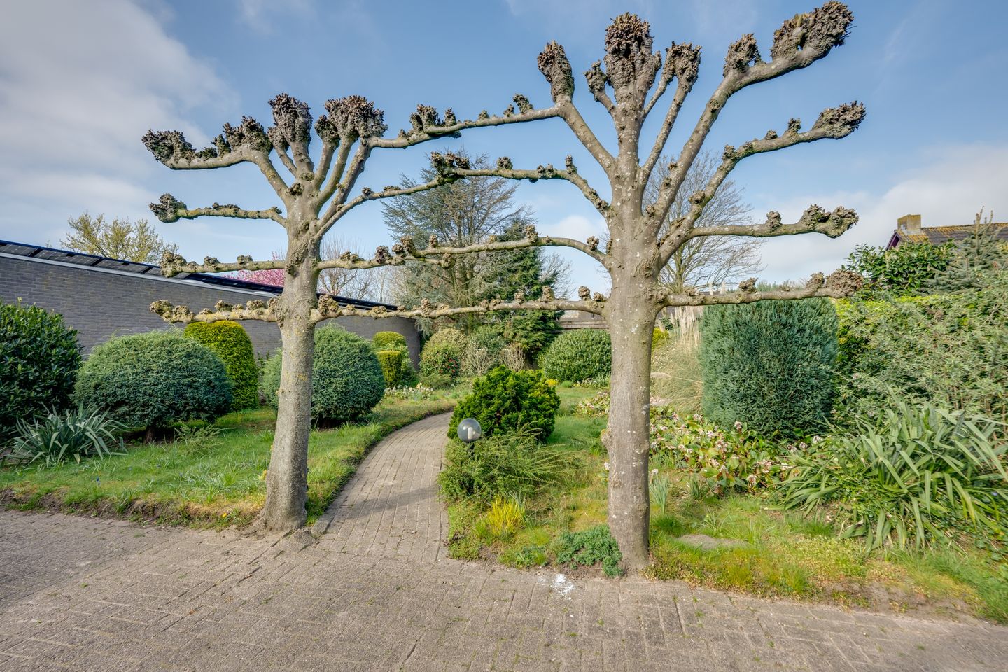 Foto 49 van Korenbloem 13