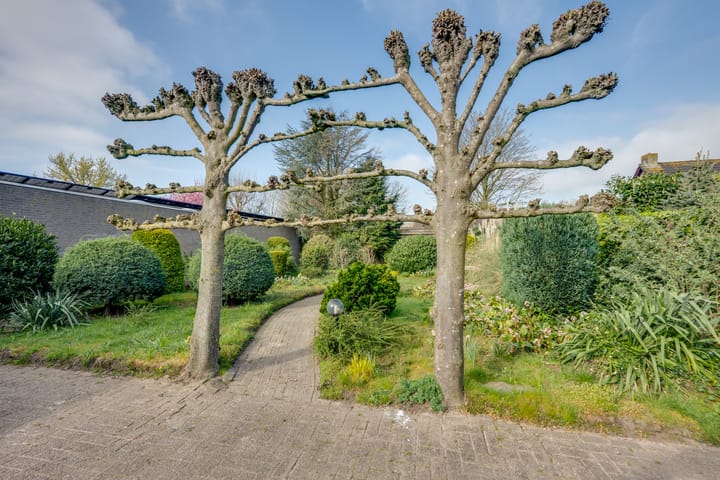 Foto 49 van Korenbloem 13