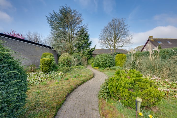 Foto 50 van Korenbloem 13