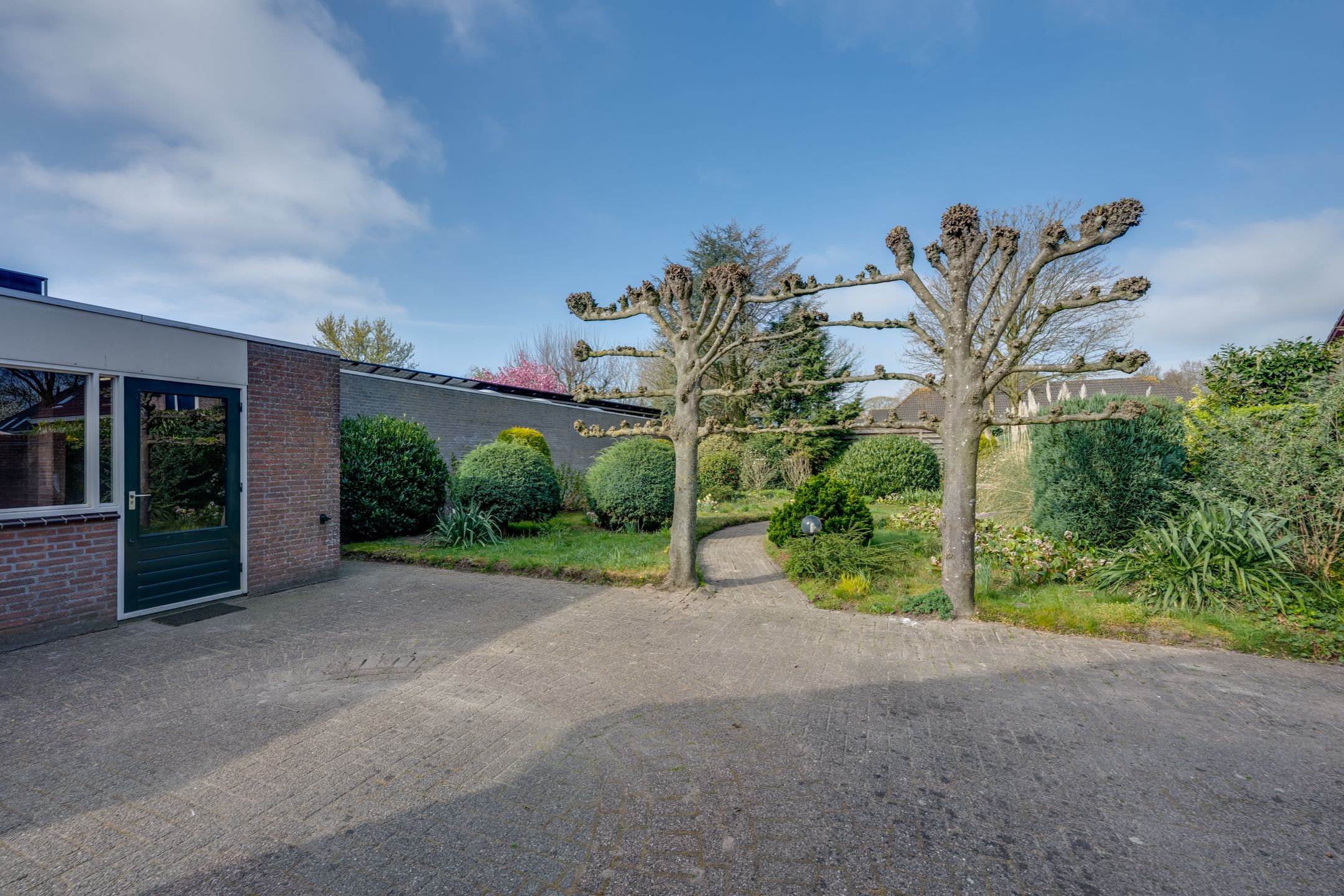 Foto 51 van Korenbloem 13