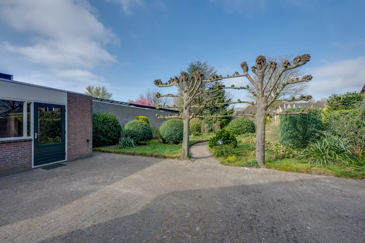 Foto 51 van Korenbloem 13