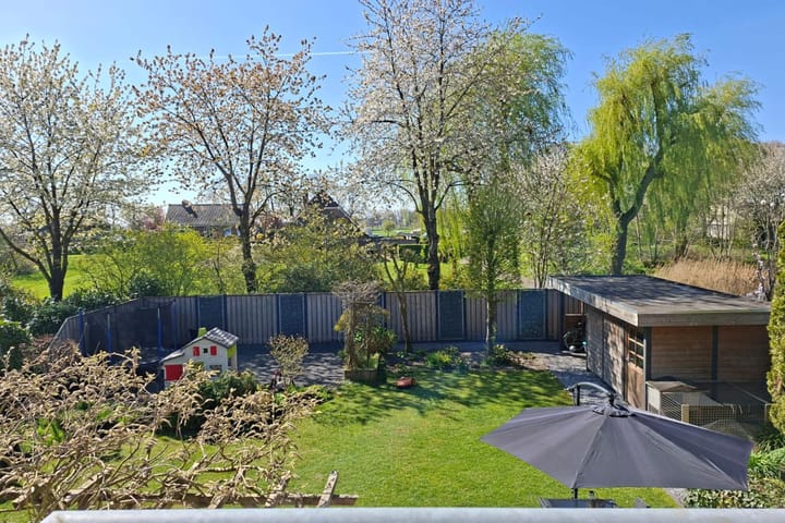 Foto 4 van Koraal 35