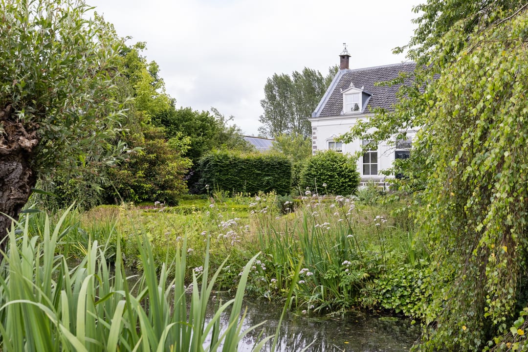 Foto 53 van 's-Gravenweg 31