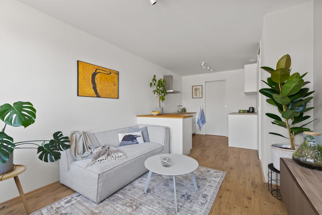 Photo 16 of Walcheren 75