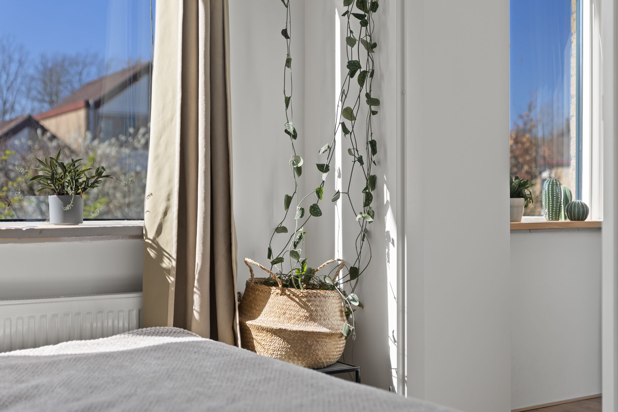 Photo 27 of Walcheren 75