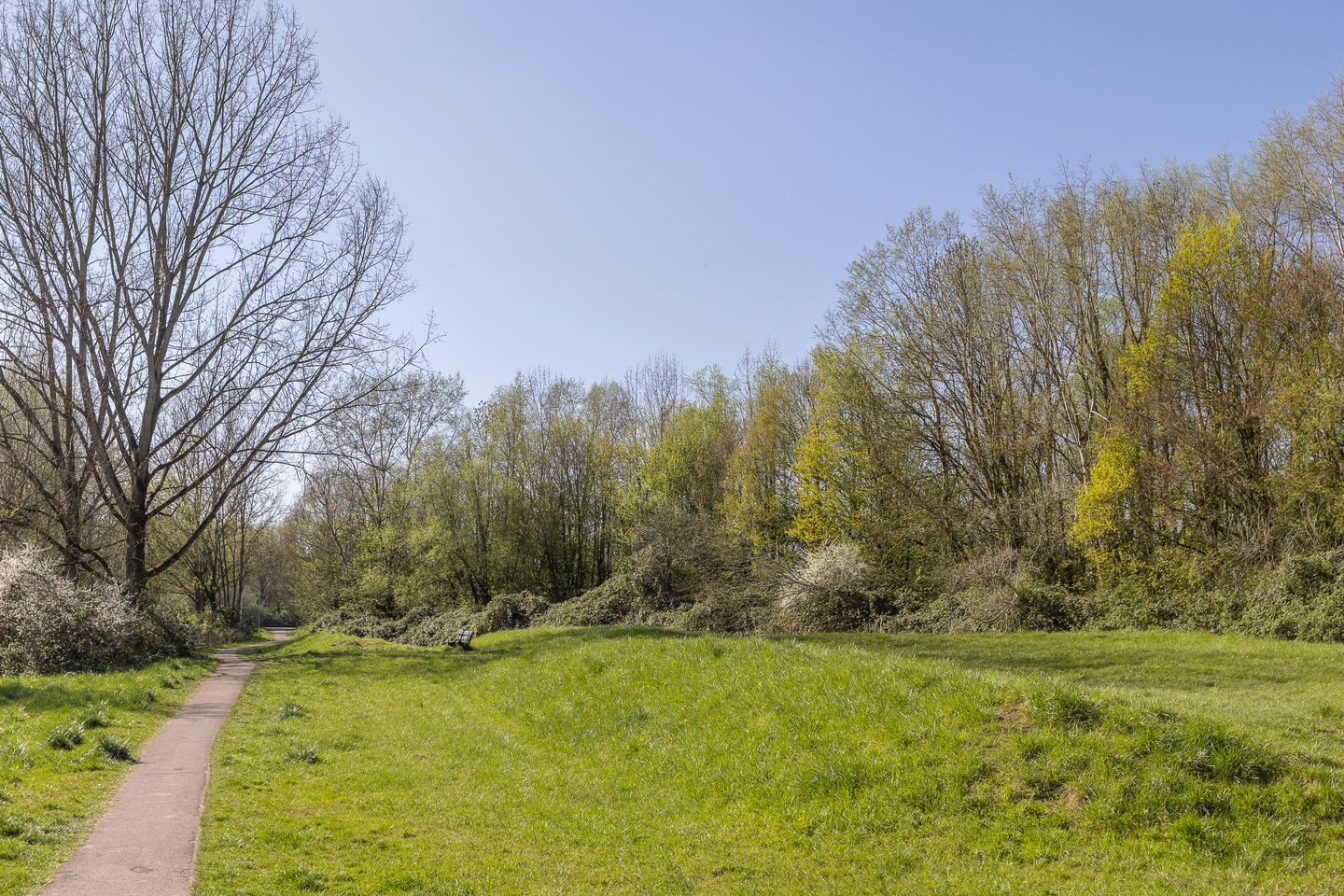 Photo 34 of Walcheren 75