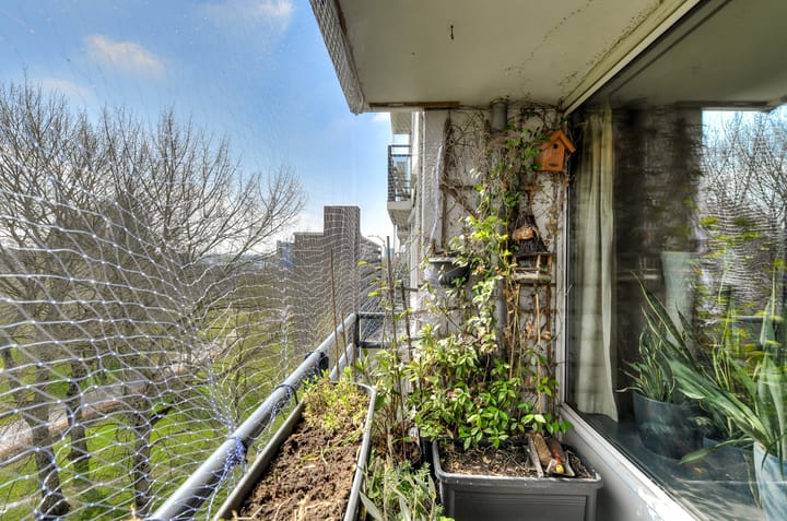 Foto 25 van Kasterleestraat 290