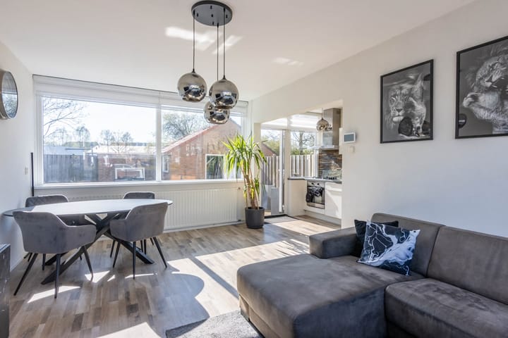 Photo 3 of Reigerplein 13