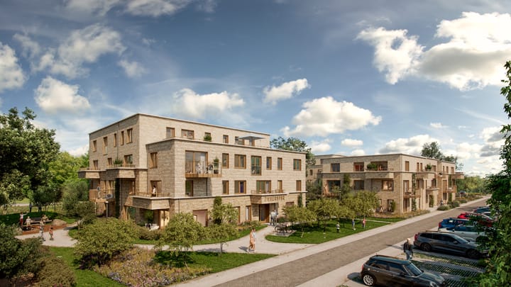 Foto 5 van Zilverspar (3.21) (Bouwnr. 321)