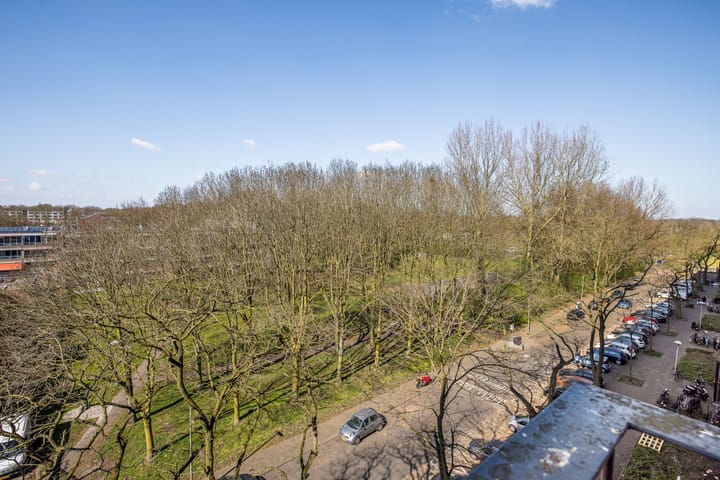 Foto 21 van Dommeringdreef 61