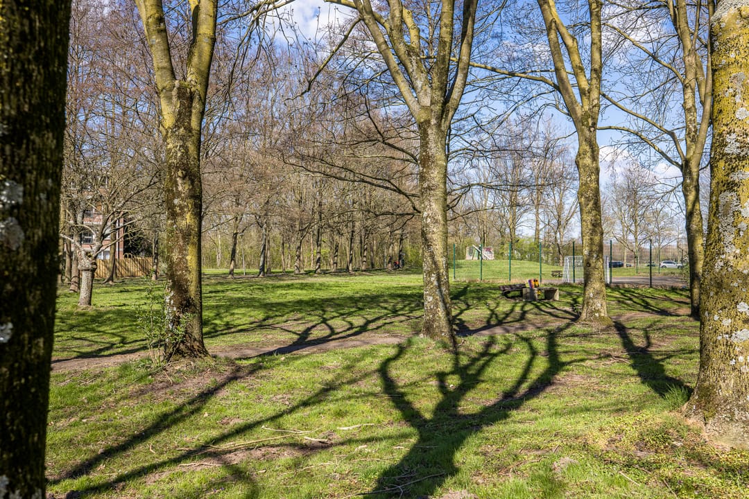 Photo 32 of Dommeringdreef 61