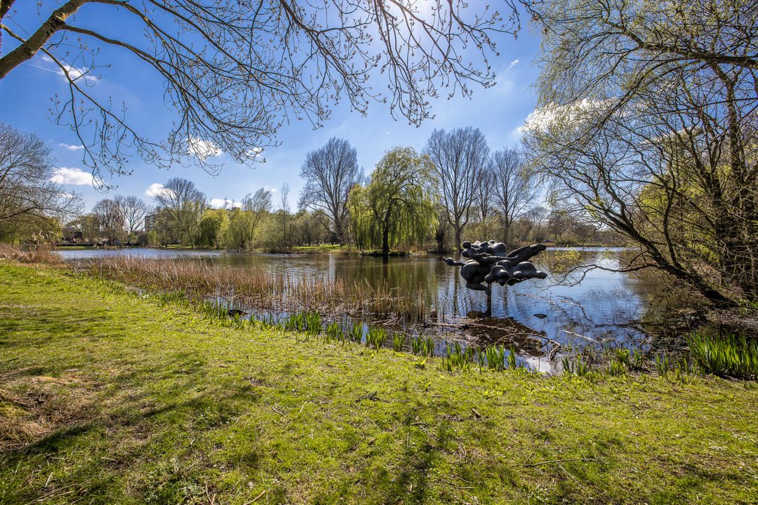 Photo 37 of Dommeringdreef 61