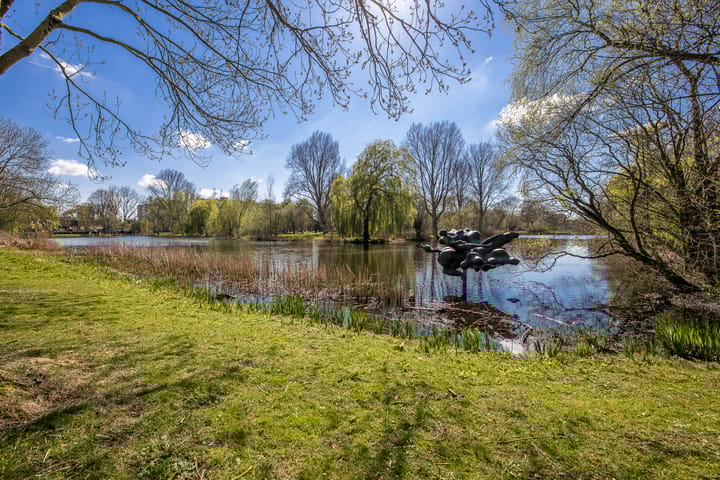 Foto 37 van Dommeringdreef 61