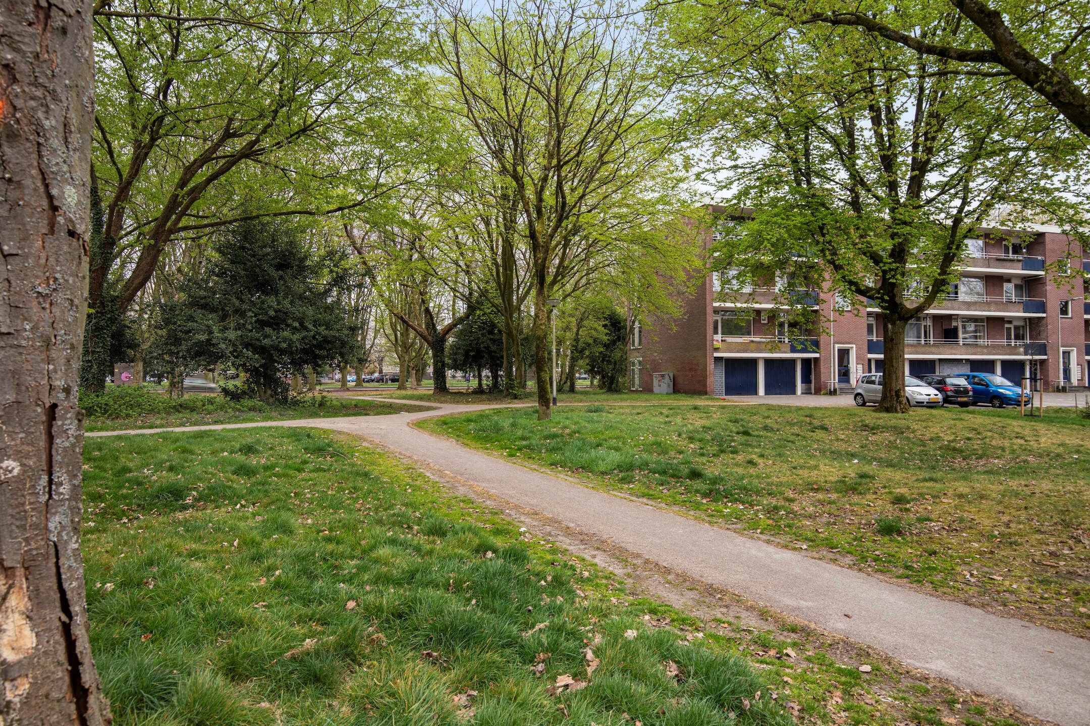 Photo 36 of Violethof 20