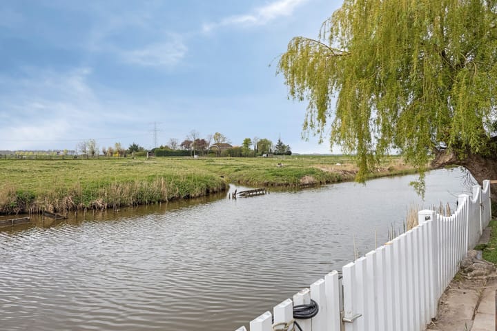 Foto 2 van Zoutgras 17