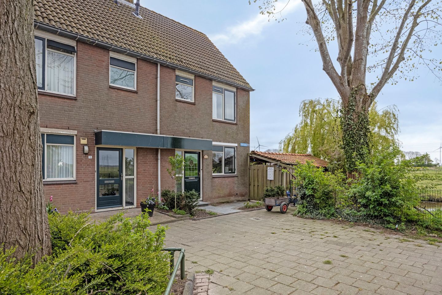 Foto 1 van Zoutgras 17