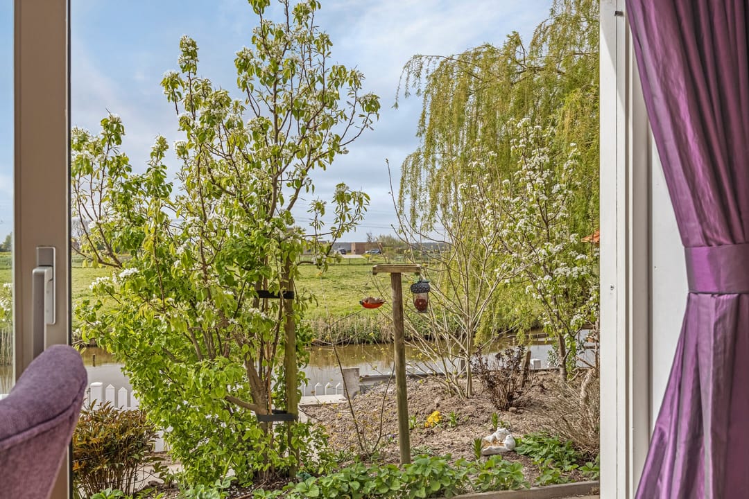 Photo 13 of Zoutgras 17