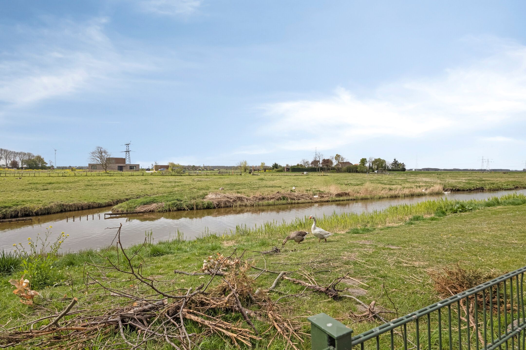 Photo 36 of Zoutgras 17